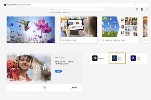 Adobe Photoshop Elements 2025