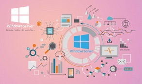la Funcionalidad de la VGPU