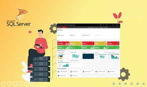 Servicios de información