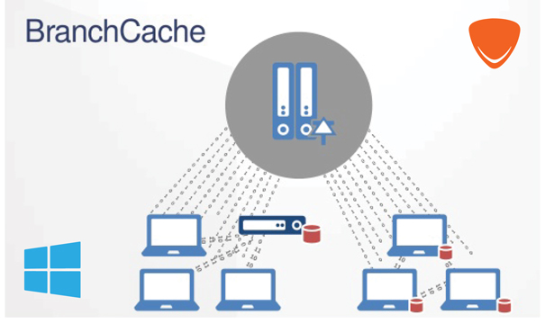 Windows 10 branchcache что это