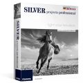 Silver projects professional, Versiones: Windows, image 