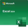 Microsoft Excel 2024