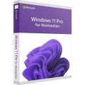 Windows 11 Pro for Workstations, image 