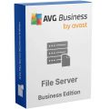 AVG File Server Business Edition 2026-2027, Runtime: 1 año, Dispositivos: 20 Dispositivos, image 