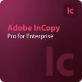 Adobe InCopy para enterprise, image 