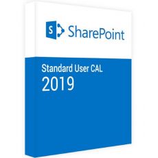 SharePoint Server 2019 Standard - User CALs, Client Access Licenses: 1 CAL, image 