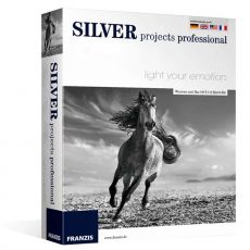Silver projects professional, Versiones: Windows , image 