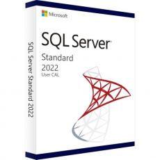 SQL Server 2022 Standard - User CALs, Client Access Licenses: 1 CAL, image 