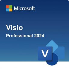 Microsoft Visio Professional 2024, image 