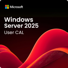 Windows Server 2025 Standard - 10 User CALs