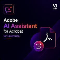 Adobe AI Assistant for Acrobat for enterprise, image 