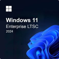 Microsoft Windows 11 Enterprise LTSC 2024, image 