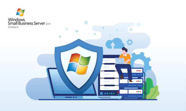 Windows Small Business Server 2011 Standard - User CALs Fomentar la Colaboración