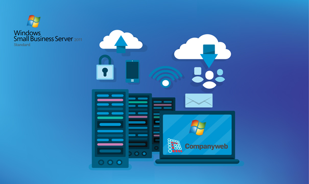 Windows Small Business Server 2011 Standard - Device CALs Copia de seguridad y recuperación de datos