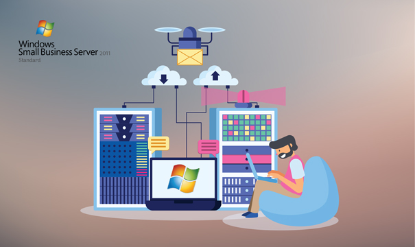 Windows Small Business Server 2011 Standard - Device CALs Acceso remoto